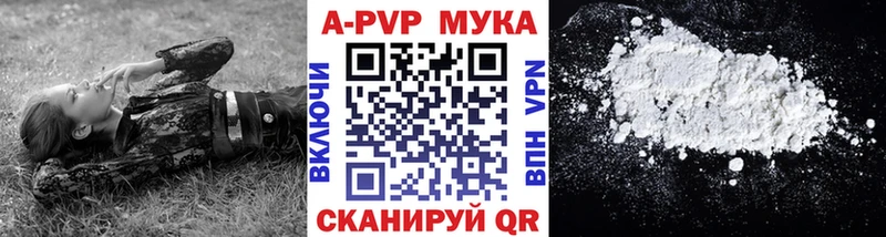 mega   Асино  Alpha-PVP крисы CK  сколько стоит 