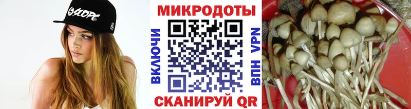 Псилоцибиновые грибы GOLDEN TEACHER OMG как зайти Асино