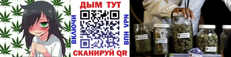 Бошки марихуана сатива  Асино 